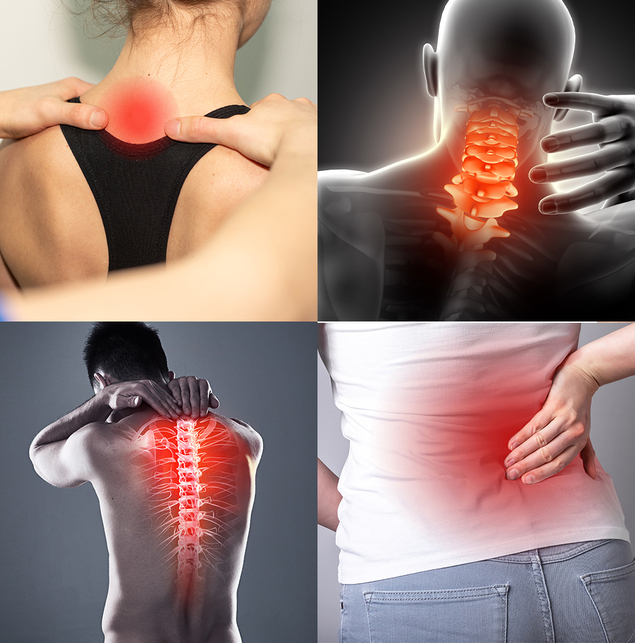spine-physiotherapy-in-nashik
